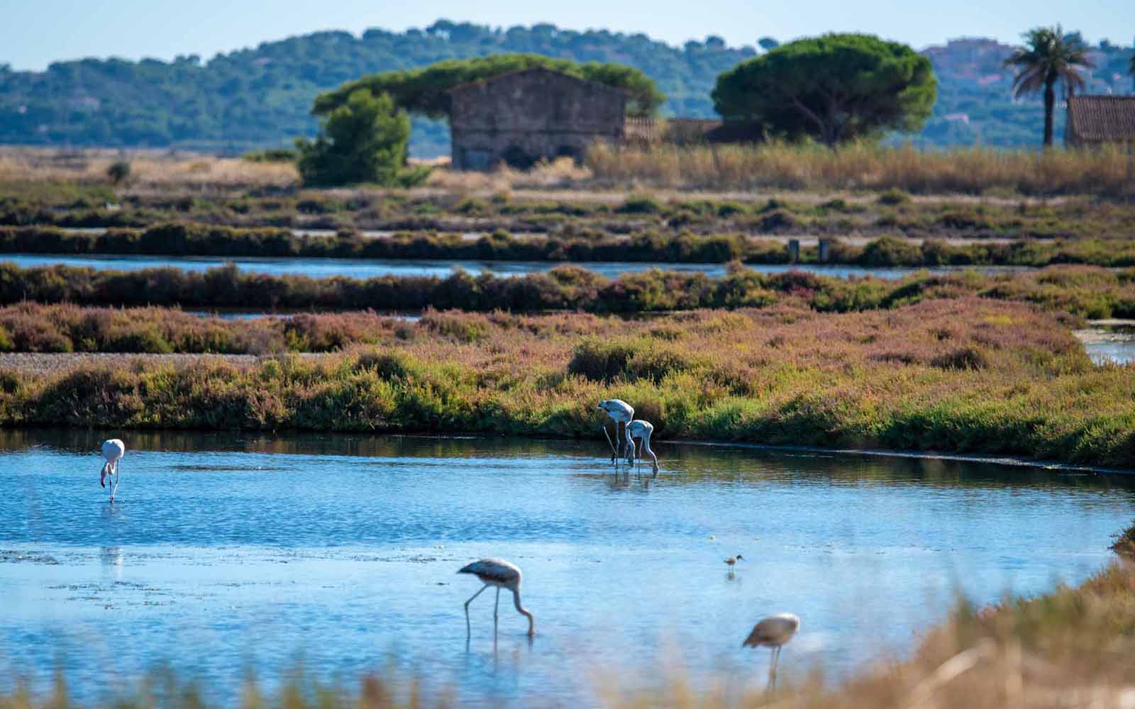 Emplacement pour une photographie d’une activité nature ou sportive